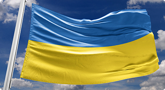 Ukraine Flag